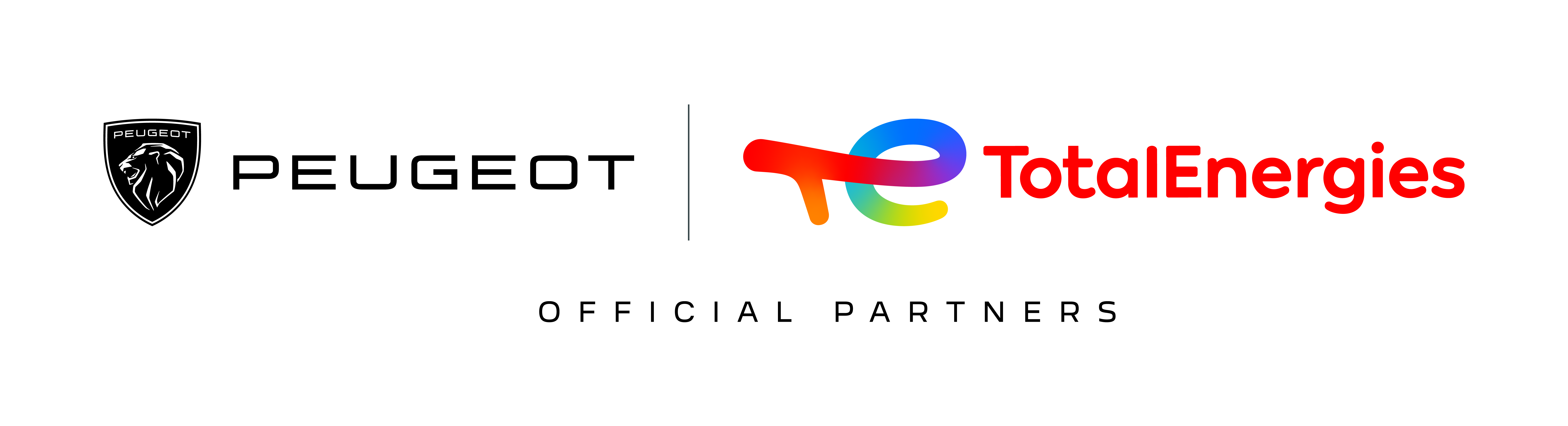 Partner Logo
